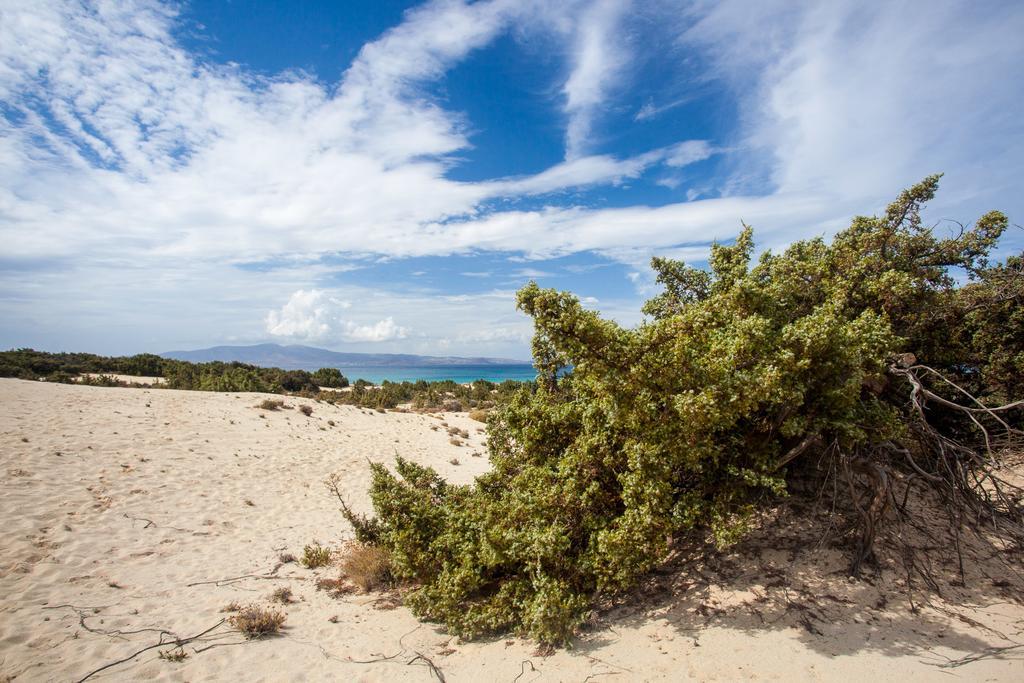 Villa Alyko Aliko Beach Eksteriør billede
