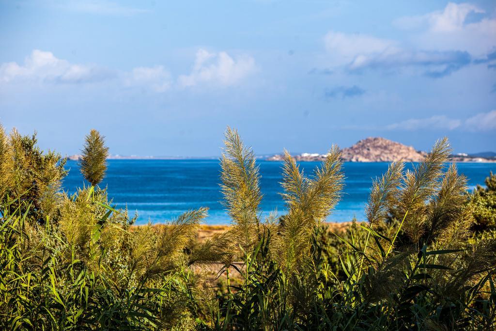 Villa Alyko Aliko Beach Eksteriør billede